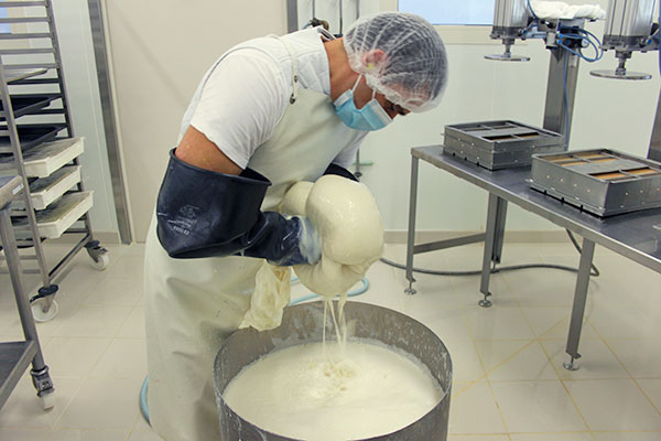 swissoja-bio-histoire-travail-manuel-savoir-faire