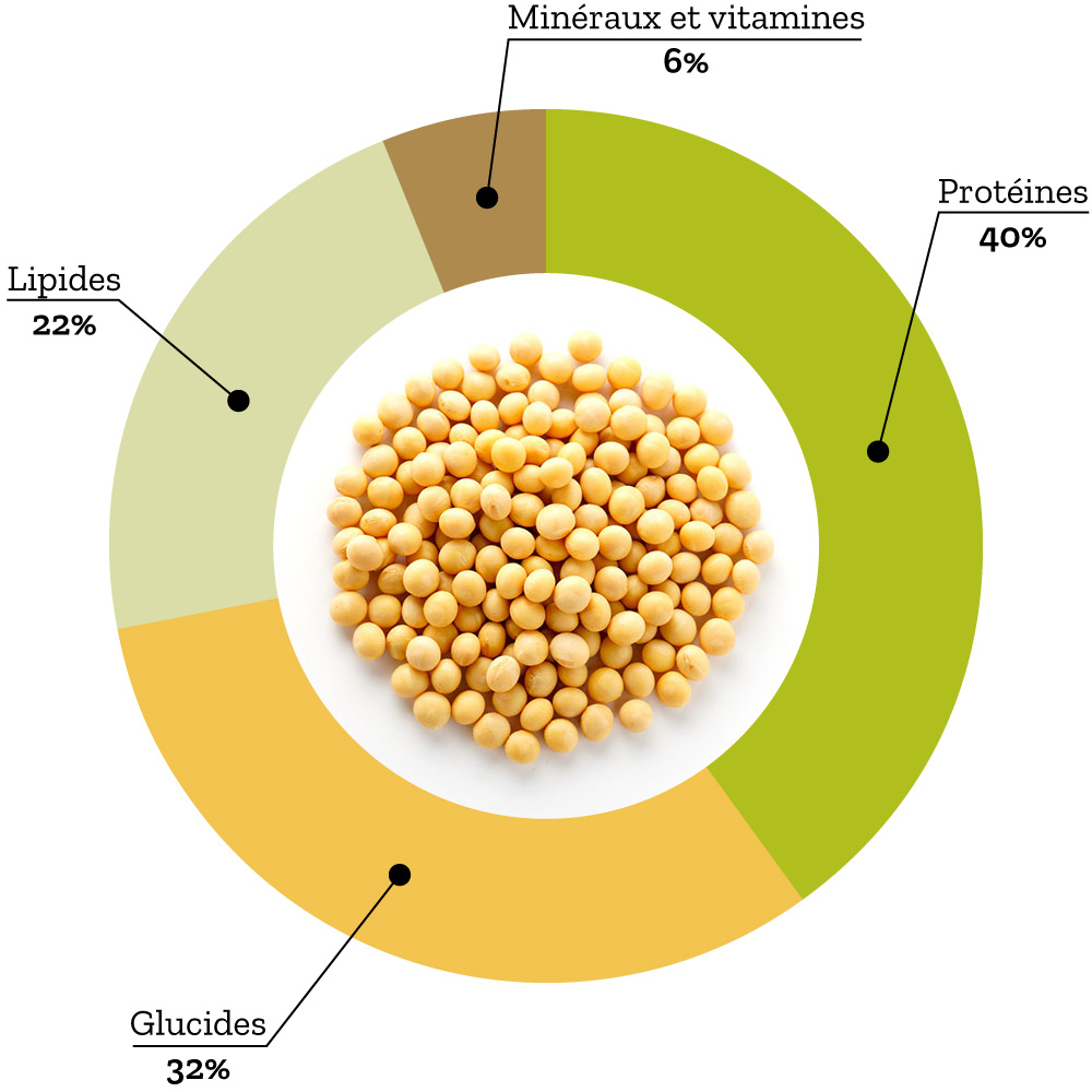 swissoja-valeurs-nutritives-graine-soja-infographie